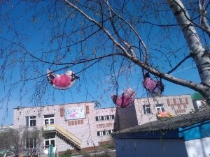 Детский сад №79                             Россия ,                                                                            Ижевск
                            ,                        