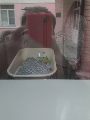 Роддом при ЦГБ                             Россия ,                                                                            Реутов
                            ,                        