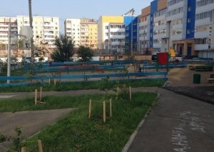 Эльф                             Россия ,                                                                            Иркутск
                            ,                        