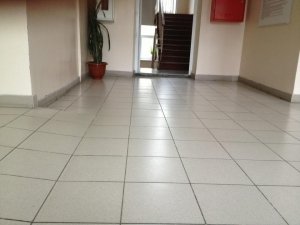 Лицей                             Россия ,                                                                            Иркутск
                            ,                        