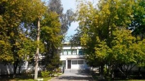 Центр развития ребенка-детский сад №55                             Россия ,                                                                            Иркутск
                            ,                        