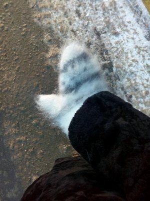 Детский сад №151                             Россия ,                                                                            Иркутск
                            ,                        