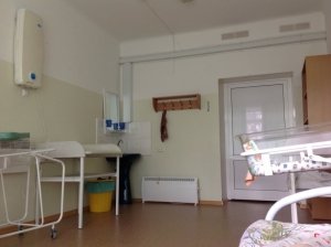 Роддом при ЦРБ п.Ванино                             Россия ,                                                                            Ванино
                            ,                        
