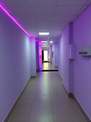 Фиолетовая корова                             Россия ,                                                                            Казань
                            ,                        