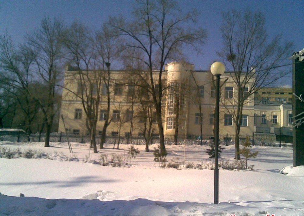 Роддом 4 Фото