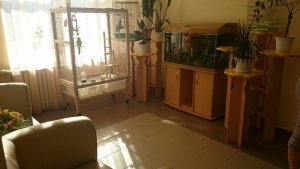 Детский сад №151. &laquo;Академия детства&raquo;                             Россия ,                                                                            Казань
                            ,                        