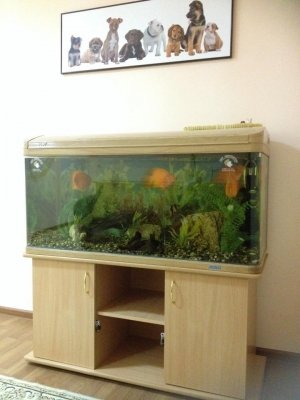 Детский сад №12. &laquo;Казаночка&raquo;                             Россия ,                                                                            Казань
                            ,                        