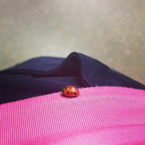 Детский сад №372. &laquo;Дельфин&raquo;                             Россия ,                                                                            Казань
                            ,                        