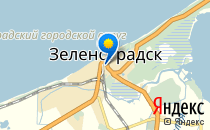 Вектор                             Россия ,                                                                            Зеленоградск
                            ,                        