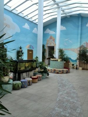 Детский сад №56                             Россия ,                                                                            Калининград (Кенигсберг)
                            ,                        