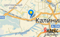 Детский сад №79                             Россия ,                                                                            Калининград (Кенигсберг)
                            ,                        