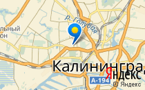 Детский сад №44                             Россия ,                                                                            Калининград (Кенигсберг)
                            ,                        