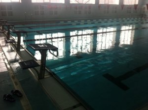 Бассейн                             Россия ,                                                                            Калуга
                            ,                        