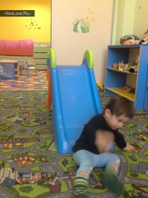 Дракоша                             Россия ,                                                                            Петрозаводск
                            ,                        