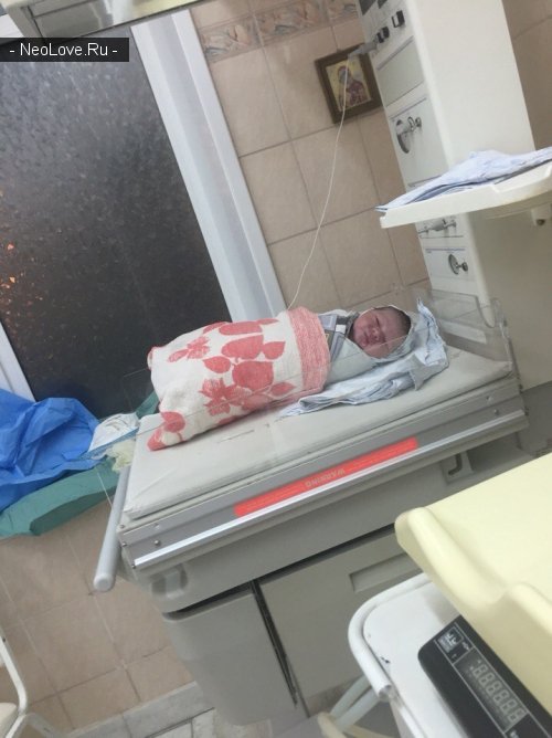 Роддом ИКБ №2                             Россия ,                                                                            Москва
                            ,                        